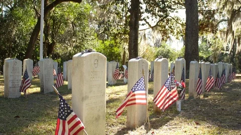 Military Graves Side Angle Stock Footage 80786421