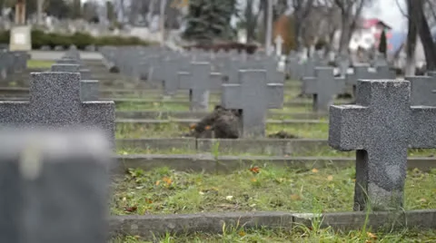 Military graveyard vanishing point Stock Footage 24745475