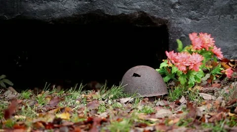 Military helmet Stock Footage 12499809