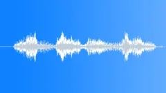 Military Male Voice - Understood 2 Sound Effect