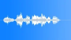 Military Male Voice - We Trampled Our Enemy Sound Effect