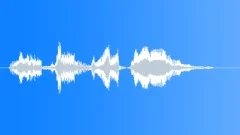 Military Male Voice - We'll Break Their Bones Sound Effect