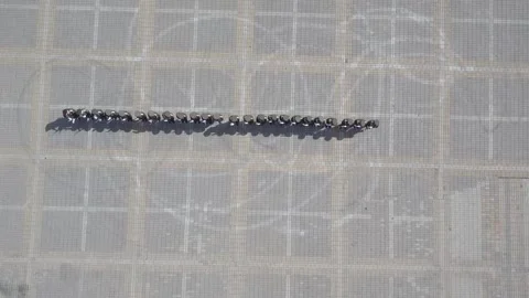 Military parade 3 Stock Footage 335839539