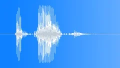 Military Radio Message: Engage! Male Voice Signal, V1Sound Effect