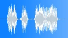 Military Radio Message: Hold Your Fire! Male Voice Signal, V3Sound Effect