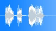 Military Radio Message: Hold Your Fire! Male Voice Signal, V1 Sound Effect