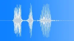 Military Radio Message: Positive. Male Voice Signal, V1Sound Effect