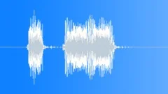 Military Radio Message: SOS! Male Voice SignalSound Effect