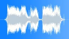 Military Radio Voice 16a - Target Spotted Sound Effect