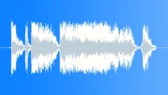 Military Radio Voice 21c - Objective Lost Sound Effect
