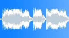 Military Radio Voice 22c - Mission Completed Sound Effect