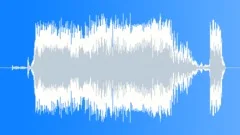 Military Radio Voice 39a - I'm HitSound Effect