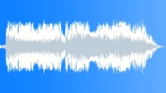 Military Radio Voice 65c - Low on FuelSound Effect