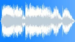 Military Radio Voice 77b - Target EliminatedSound Effect