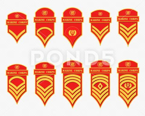Military Ranks Stripes and Chevrons. Vector Set Army Insignia Stock Illustration