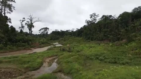 Military secures illegal mining zone in Ecuador Amazon, Quito, EC - 03 Jul 2025 Stock Footage 312370011
