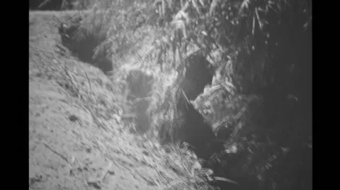 Military soldier getting out of VC Tunnel in village Stock Footage