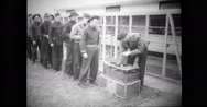 Military Soldiers In A Queue Receiving War Pigeons Stock Footage