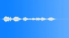 Military voiceSound Effect