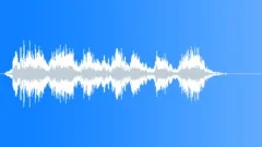 Military voiceSound Effect