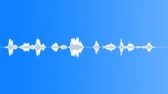 Military voiceSound Effect