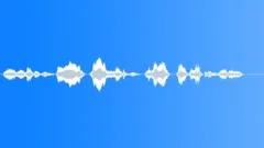 Military voice Sound Effect