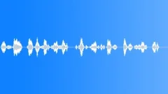 Military voiceSound Effect