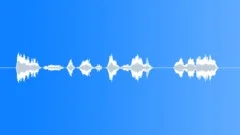 Military voice Sound Effect