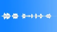 Military voiceSound Effect