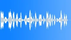 Military voiceSound Effect