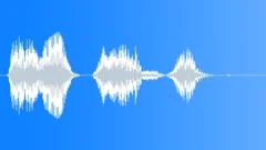 Military voiceSound Effect