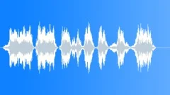 Military voiceSound Effect