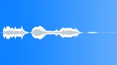 Military voice Sound Effect