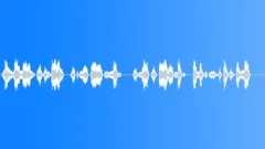 Military voiceSound Effect