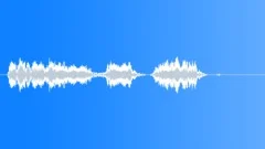 Military voiceSound Effect