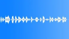 Military voiceSound Effect