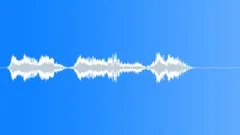 Military voiceSound Effect