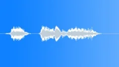 Military voice Sound Effect