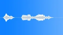 Military voice Sound Effect
