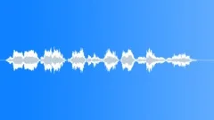 Military voiceSound Effect
