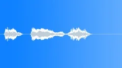 Military voiceSound Effect