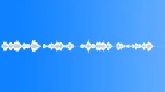 Military voiceSound Effect