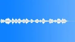 Military voiceSound Effect