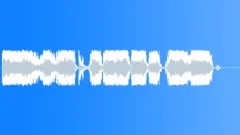 Military voice Sound Effect