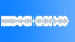 Military voiceSound Effect