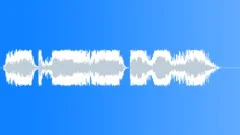 Military voice Sound Effect