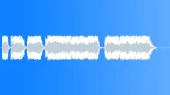 Military voiceSound Effect