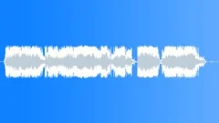 Military voiceSound Effect