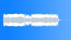 Military voice Sound Effect