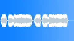 Military voice Sound Effect